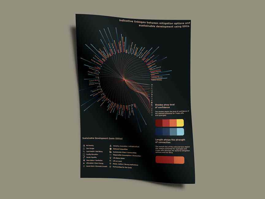 Student Portfolio
